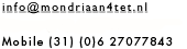 Phone: (31) (20) 6920789